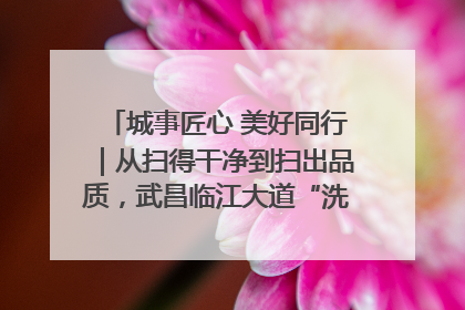 城事匠心 美好同行｜从扫得干净到扫出品质，武昌临江大道“洗”出洁净样板路