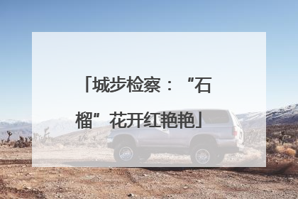 城步检察：“石榴”花开红艳艳