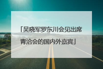 吴晓军罗东川会见出席青洽会的国内外嘉宾