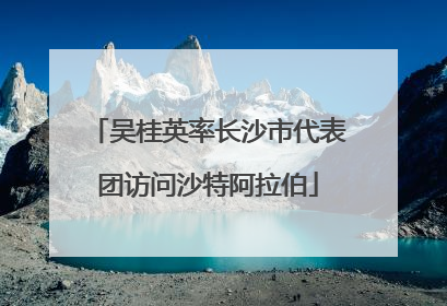 吴桂英率长沙市代表团访问沙特阿拉伯
