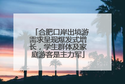 合肥口岸出境游需求呈现爆发式增长，学生群体及家庭游客是主力军