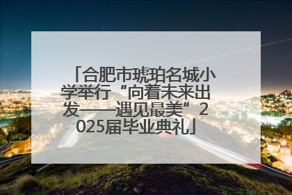 合肥市琥珀名城小学举行“向着未来出发——遇见最美”2025届毕业典礼