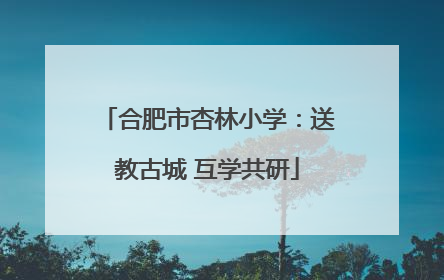 合肥市杏林小学：送教古城 互学共研