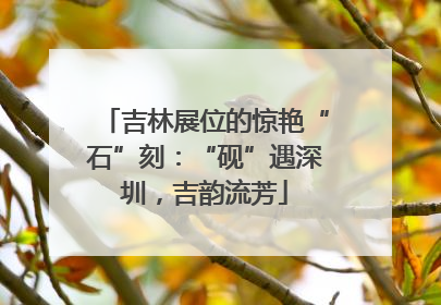 吉林展位的惊艳“石”刻：“砚”遇深圳，吉韵流芳