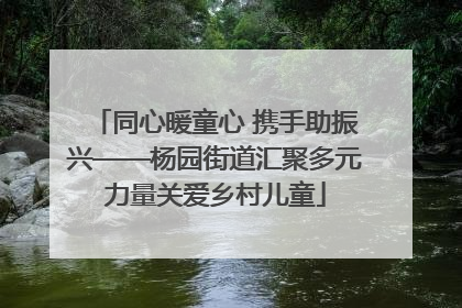 同心暖童心 携手助振兴——杨园街道汇聚多元力量关爱乡村儿童