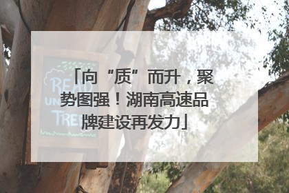 向“质”而升，聚势图强！湖南高速品牌建设再发力