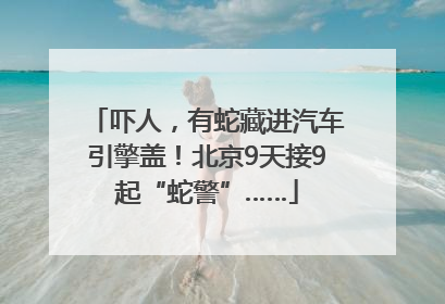 吓人，有蛇藏进汽车引擎盖！北京9天接9起“蛇警”……