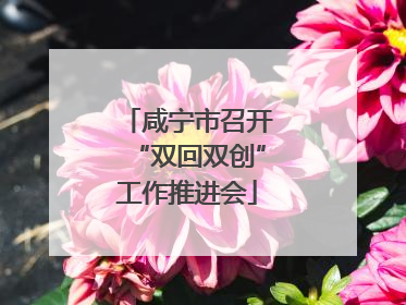 咸宁市召开“双回双创”工作推进会
