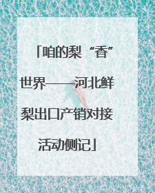 咱的梨“香”世界——河北鲜梨出口产销对接活动侧记