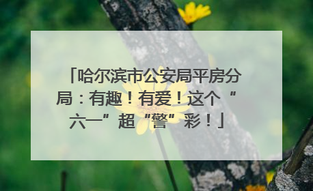 哈尔滨市公安局平房分局：有趣！有爱！这个“六一”超“警”彩！