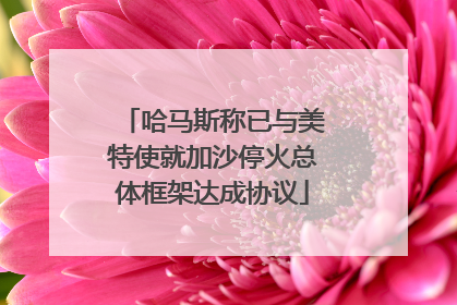 哈马斯称已与美特使就加沙停火总体框架达成协议