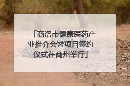 商洛市健康医药产业推介会暨项目签约仪式在商州举行