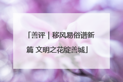 善评｜移风易俗谱新篇 文明之花绽善城
