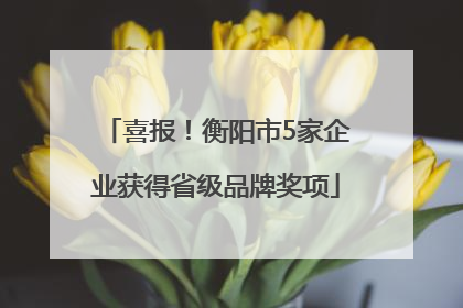 喜报！衡阳市5家企业获得省级品牌奖项