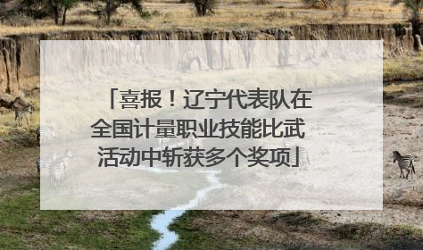 喜报！辽宁代表队在全国计量职业技能比武活动中斩获多个奖项