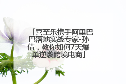 喜至乐携手阿里巴巴落地实战专家-孙倩，教你如何7天爆单逆袭跨境电商