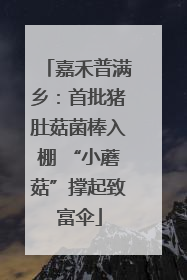 嘉禾普满乡：首批猪肚菇菌棒入棚 “小蘑菇”撑起致富伞