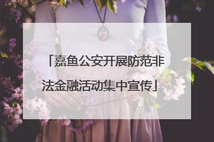 嘉鱼公安开展防范非法金融活动集中宣传