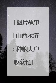 图片故事丨山西永济：种粮大户收获忙