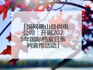 国网确山县供电公司：开展2025年国际档案日系列宣传活动