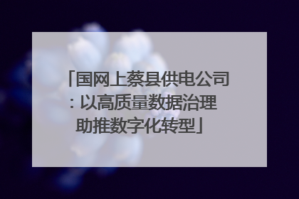 国网上蔡县供电公司：以高质量数据治理 助推数字化转型