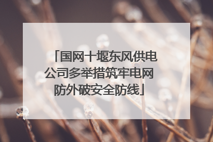 国网十堰东风供电公司多举措筑牢电网防外破安全防线