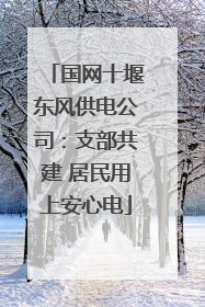 国网十堰东风供电公司：支部共建 居民用上安心电