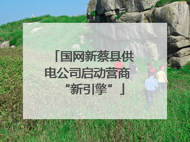 国网新蔡县供电公司启动营商“新引擎”
