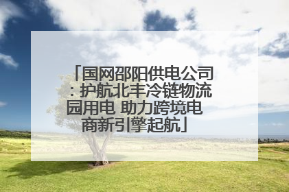 国网邵阳供电公司：护航北丰冷链物流园用电 助力跨境电商新引擎起航