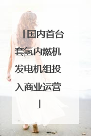 国内首台套氢内燃机发电机组投入商业运营