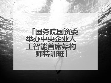 国务院国资委举办中央企业人工智能首席架构师特训班