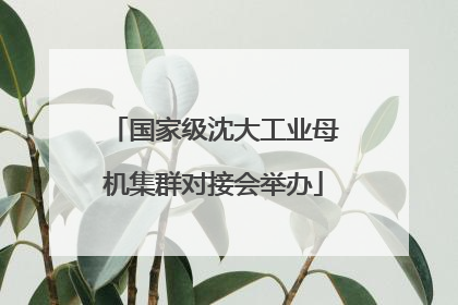 国家级沈大工业母机集群对接会举办