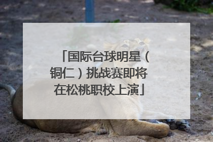 国际台球明星（铜仁）挑战赛即将在松桃职校上演