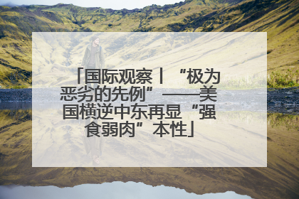 国际观察丨“极为恶劣的先例”——美国横逆中东再显“强食弱肉”本性
