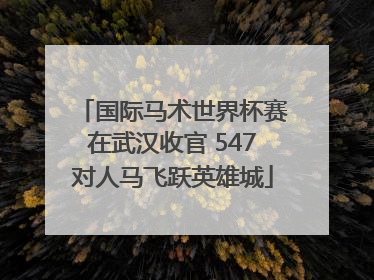 国际马术世界杯赛在武汉收官 547对人马飞跃英雄城