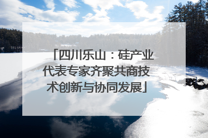 四川乐山：硅产业代表专家齐聚共商技术创新与协同发展
