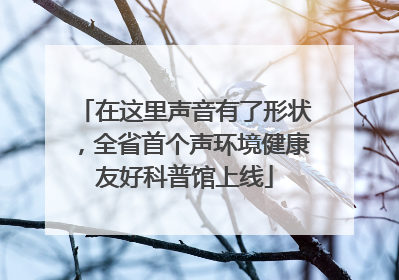 在这里声音有了形状，全省首个声环境健康友好科普馆上线