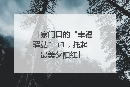 家门口的“幸福驿站”+1，托起最美夕阳红