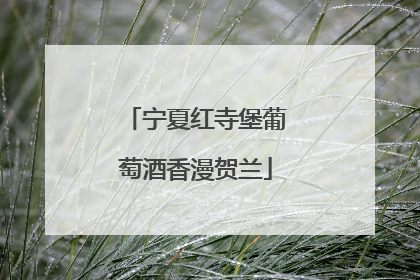 宁夏红寺堡葡萄酒香漫贺兰