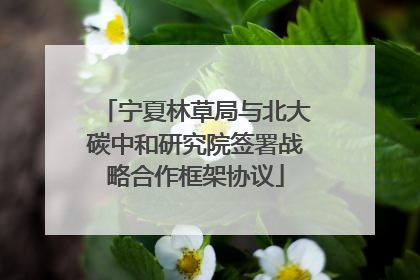宁夏林草局与北大碳中和研究院签署战略合作框架协议