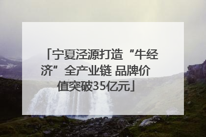宁夏泾源打造“牛经济”全产业链 品牌价值突破35亿元