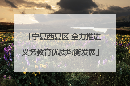 宁夏西夏区 全力推进义务教育优质均衡发展