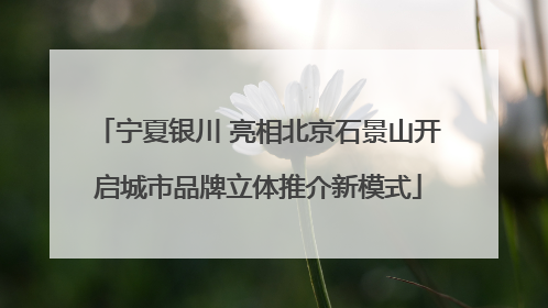 宁夏银川 亮相北京石景山开启城市品牌立体推介新模式