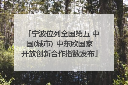 宁波位列全国第五 中国(城市)-中东欧国家开放创新合作指数发布