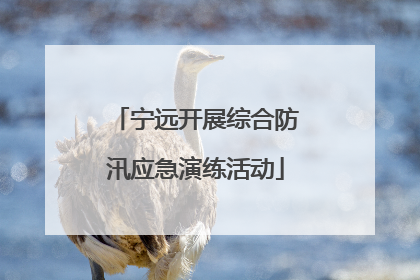 宁远开展综合防汛应急演练活动