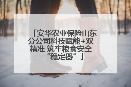 安华农业保险山东分公司科技赋能+双精准 筑牢粮食安全“稳定器”