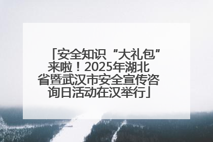安全知识“大礼包”来啦！2025年湖北省暨武汉市安全宣传咨询日活动在汉举行