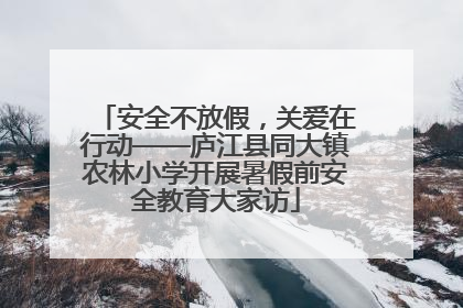 安全不放假，关爱在行动——庐江县同大镇农林小学开展暑假前安全教育大家访