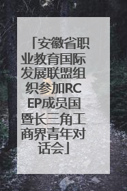 安徽省职业教育国际发展联盟组织参加RCEP成员国暨长三角工商界青年对话会