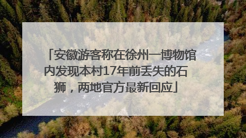 安徽游客称在徐州一博物馆内发现本村17年前丢失的石狮，两地官方最新回应